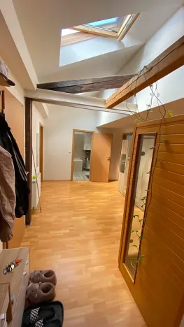 Pronájem bytu 3+kk, Brno, Jana Uhra, 136 m2