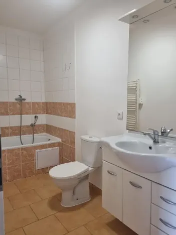 Pronájem bytu 3+kk, Hradec Králové - Plácky, Kydlinovská, 47 m2