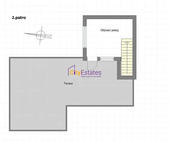 Prodej bytu 2+1, Praha - Žižkov, Viklefova, 110 m2