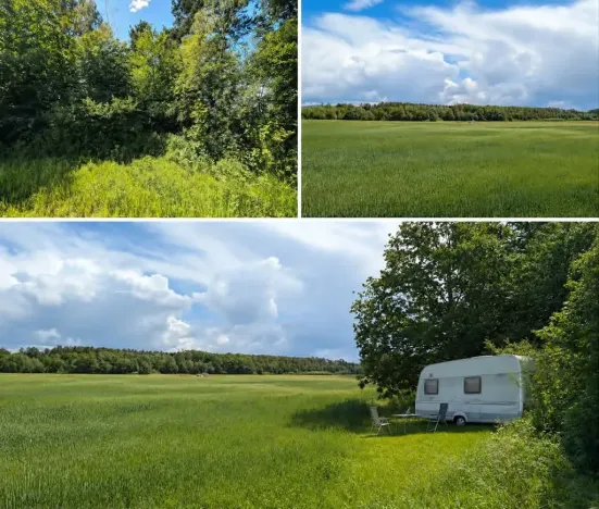 Prodej zahrady, Blovice, 449 m2