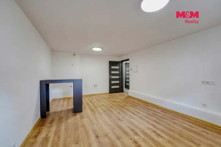 Prodej obchodního prostoru, Plzeň - Východní Předměstí, Ořechová, 26 m2