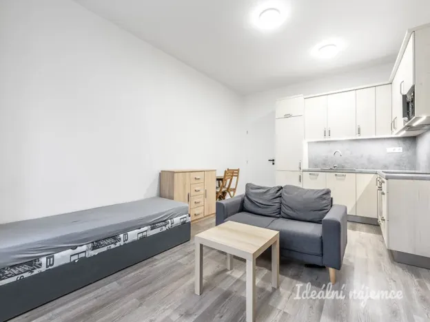 Pronájem bytu 1+kk, Praha - Braník, Nad přívozem, 29 m2