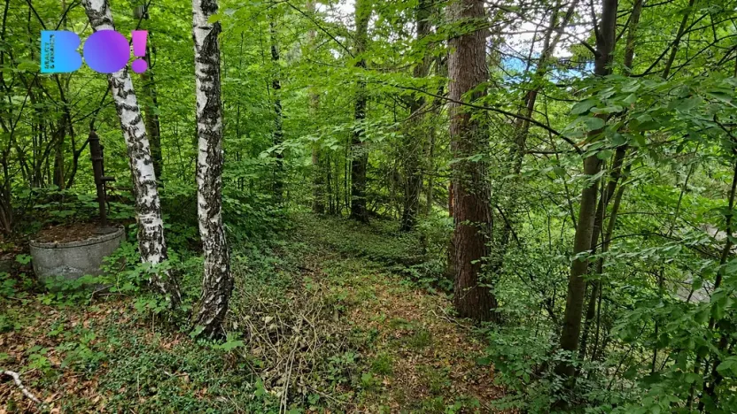 Prodej chaty, Kunčice pod Ondřejníkem, 48 m2