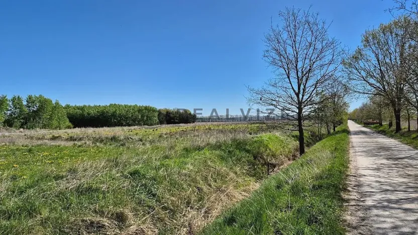 Prodej pozemku pro bydlení, Čejkovice, 901 m2
