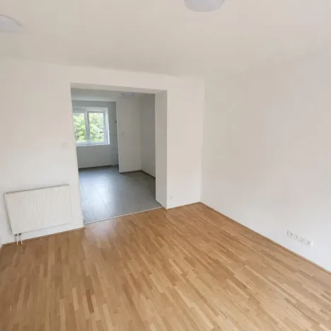 Pronájem bytu 2+1, Litvínov - Hamr, Chemiků, 55 m2