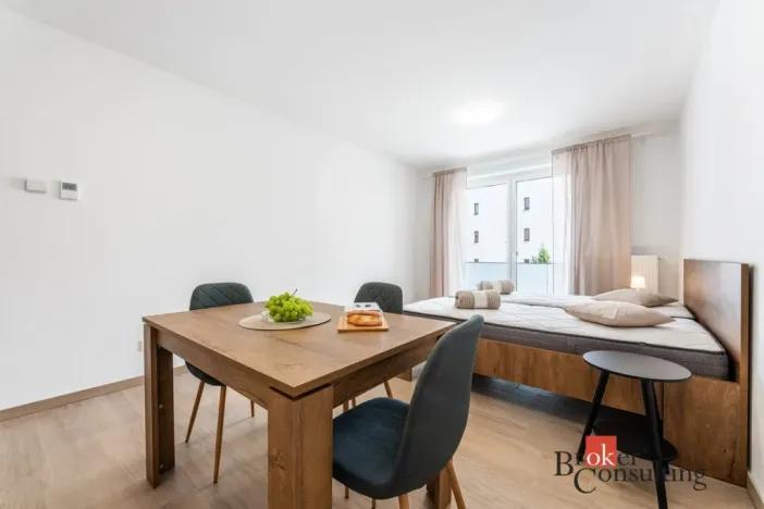 Pronájem bytu 1+kk, Olomouc - Nová Ulice, Třída Jiřího Pelikána, 33 m2