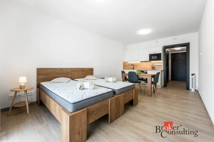 Pronájem bytu 1+kk, Olomouc - Nová Ulice, Třída Jiřího Pelikána, 33 m2