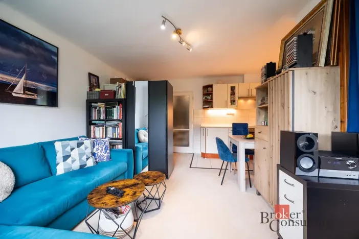 Pronájem bytu 1+kk, Praha - Střešovice, Na Petynce, 38 m2