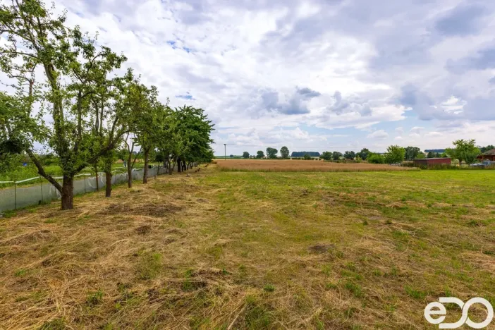 Prodej zemědělské usedlosti, Mokrovousy, 212 m2