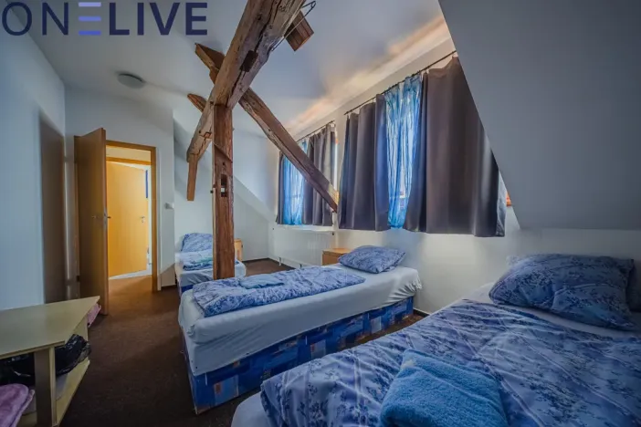 Prodej ubytování, Úlice, 600 m2