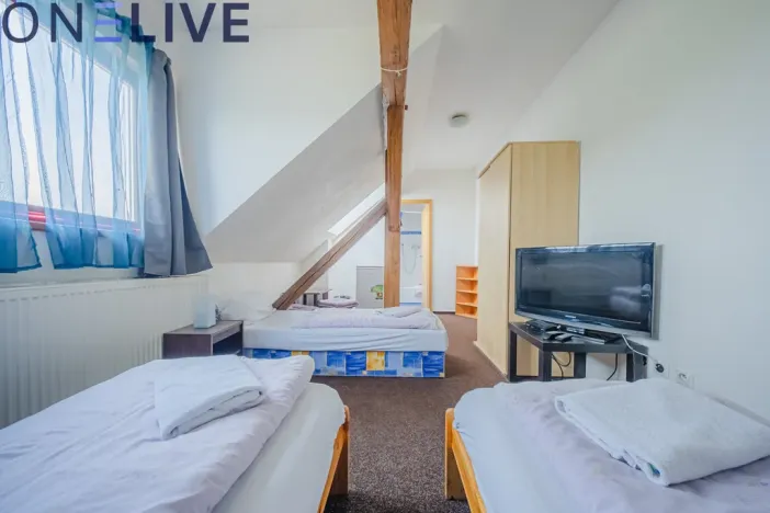 Prodej ubytování, Úlice, 600 m2