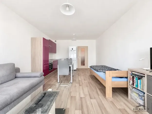 Pronájem bytu 1+kk, Pardubice, Jana Hrubého, 33 m2