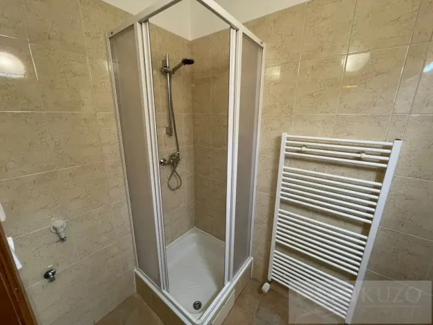 Pronájem bytu 1+kk, Plzeň - Jižní Předměstí, Borská, 30 m2
