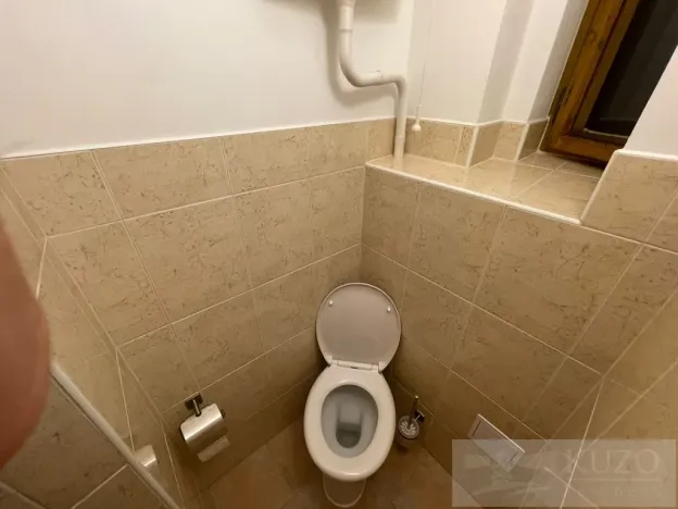 Pronájem bytu 1+kk, Plzeň - Jižní Předměstí, Borská, 30 m2