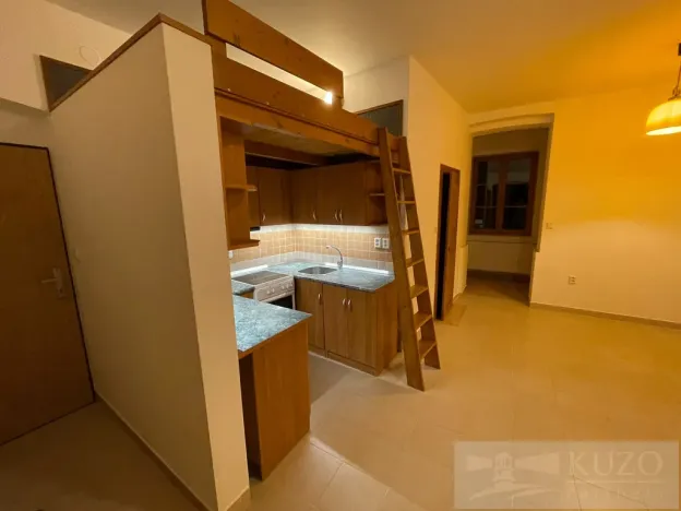 Pronájem bytu 2+kk, Plzeň - Jižní Předměstí, Borská, 50 m2