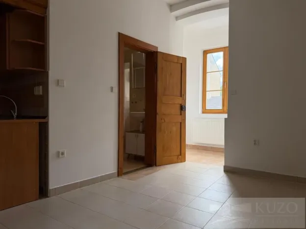 Pronájem bytu 2+kk, Plzeň - Jižní Předměstí, Borská, 50 m2