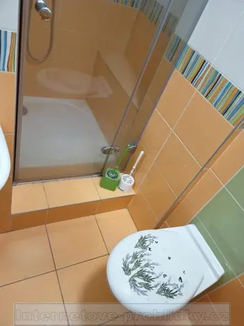 Pronájem pokoje, Praha - Holyně, 25 m2