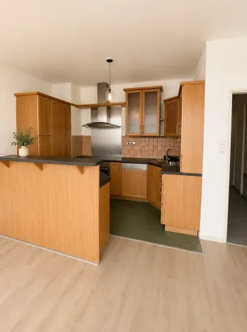Pronájem bytu 3+kk, Praha, Vinohradská, 73 m2