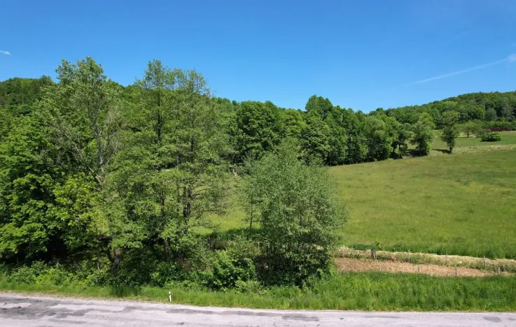 Prodej chaty, Zlaté Hory, Krnovská, 42 m2