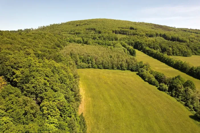 Prodej chaty, Zlaté Hory, Krnovská, 42 m2