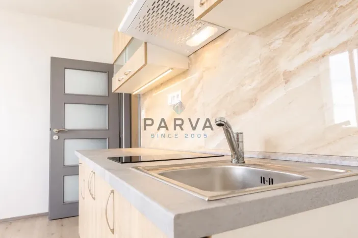 Prodej bytu 1+kk, Plzeň - Jižní Předměstí, U Borského parku, 21 m2