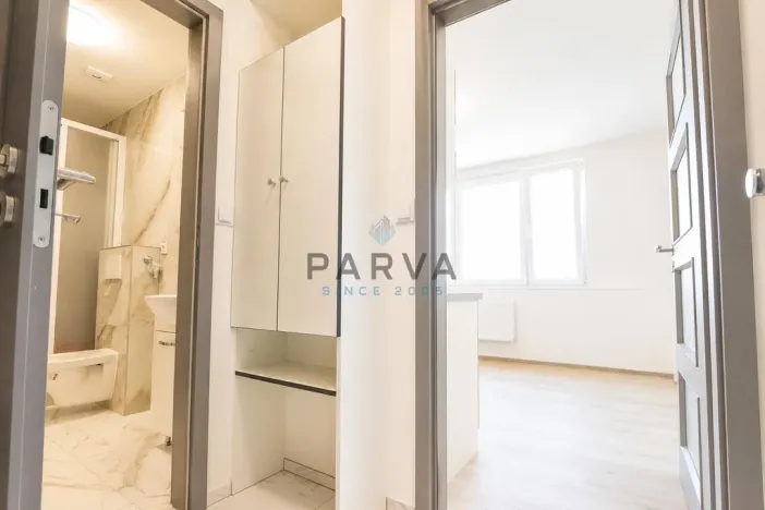 Prodej bytu 1+kk, Plzeň - Jižní Předměstí, U Borského parku, 21 m2