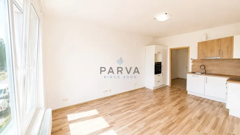 Pronájem bytu 1+kk, Plzeň - Jižní Předměstí, Nemocniční, 30 m2