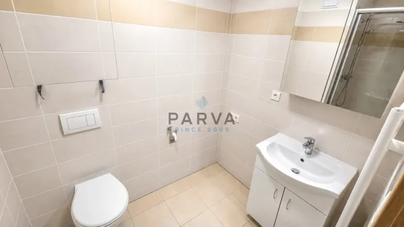 Pronájem bytu 1+kk, Plzeň - Jižní Předměstí, Nemocniční, 30 m2