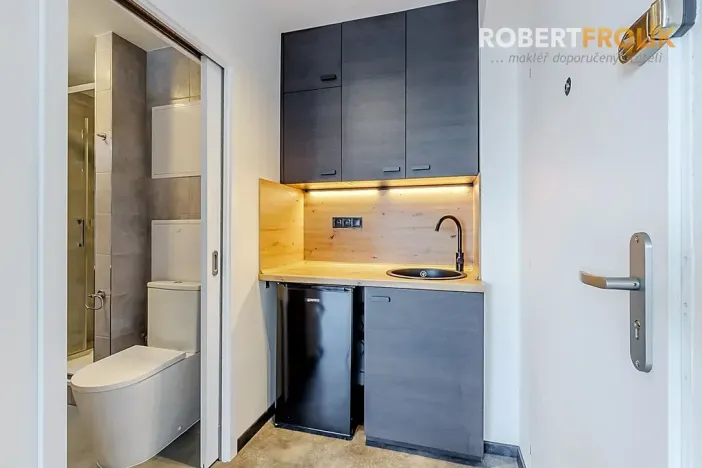 Prodej bytu 1+kk, Praha - Vokovice, Evropská, 24 m2