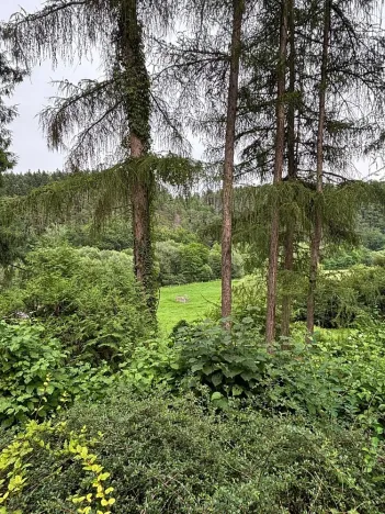 Prodej chaty, Doudleby, 75 m2