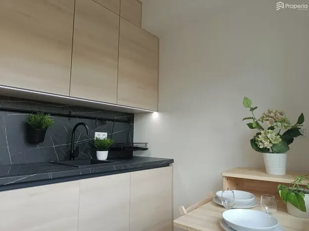 Pronájem bytu 1+kk, Brno, Zvěřinova, 13 m2