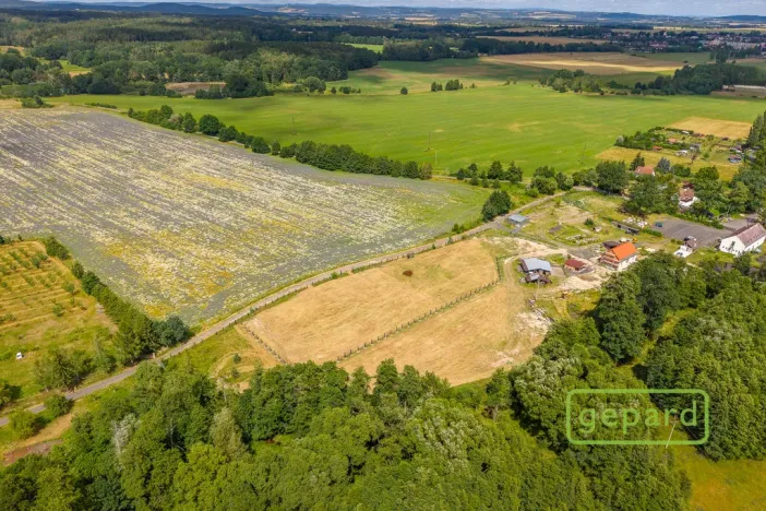 Prodej pozemku pro bydlení, Františkovy Lázně - Krapice, 1126 m2