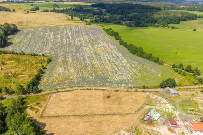 Prodej pozemku pro bydlení, Františkovy Lázně - Krapice, 1138 m2