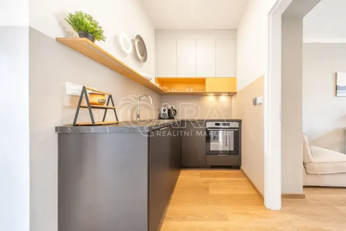 Prodej bytu 1+kk, Praha - Žižkov, Milíčova, 33 m2