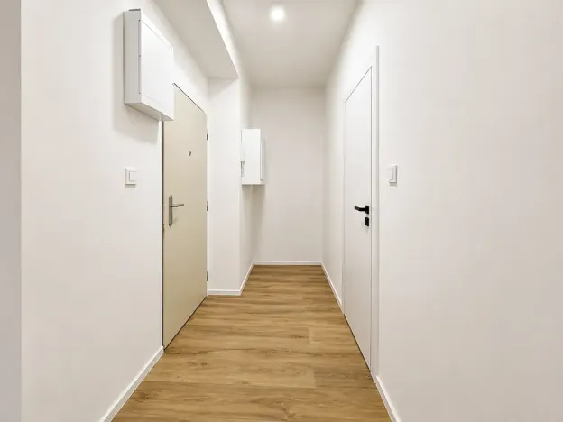 Prodej bytu 2+kk, Praha - Vršovice, U Slavie, 44 m2