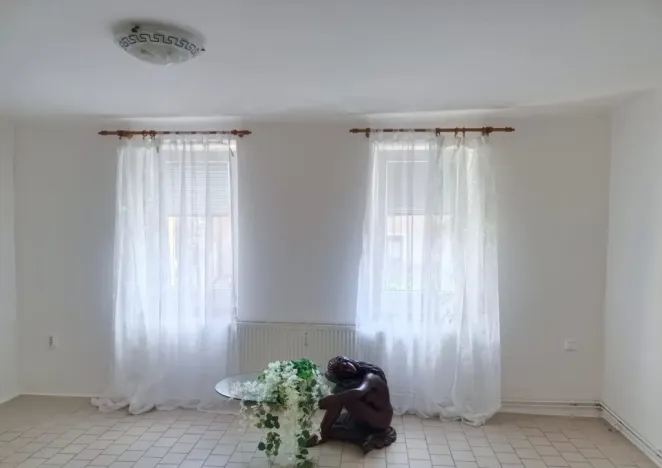Pronájem bytu 1+1, Tršice - Hostkovice, 48 m2