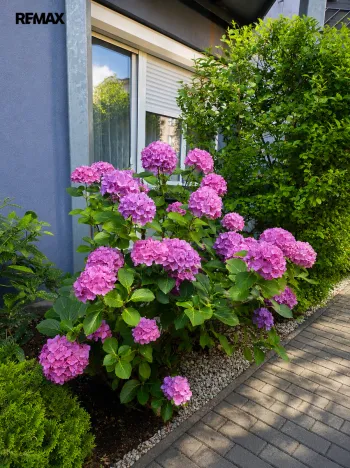 Prodej bytu 2+1, Praha - Horní Počernice, Dandova, 58 m2