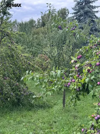 Prodej pozemku pro bydlení, Podolí, 1608 m2