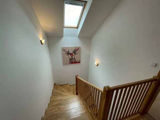 Pronájem rodinného domu, Trnová, 250 m2