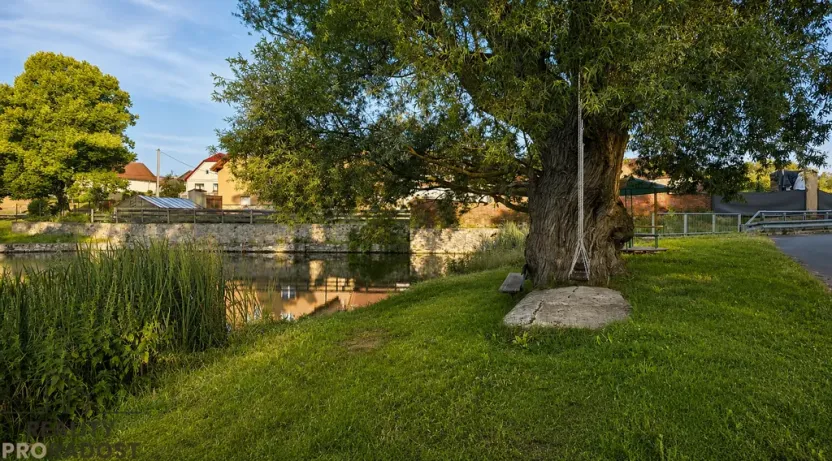 Prodej pozemku pro bydlení, Brtnice, 1195 m2