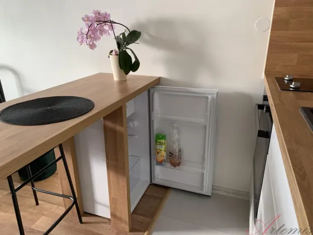 Pronájem bytu 1+kk, Ostrava - Výškovice, Výškovická, 28 m2