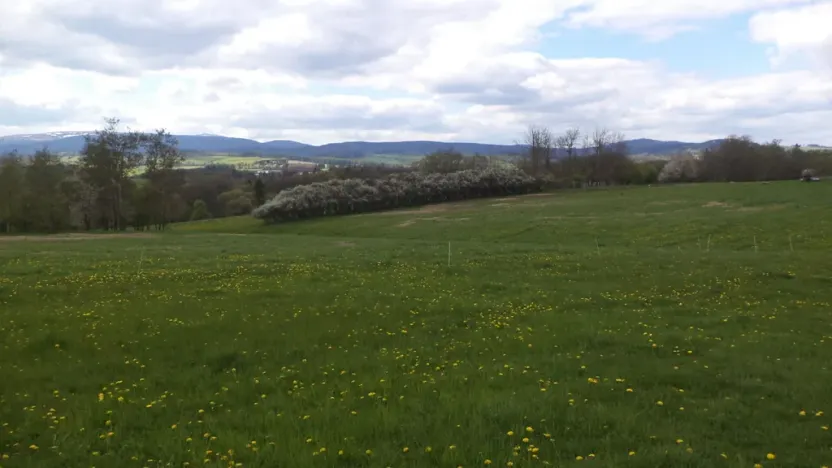 Prodej pozemku, Staré Město - Nová Véska, 10063 m2