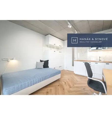 Pronájem bytu 1+kk, Brno, Chaloupkova, 23 m2