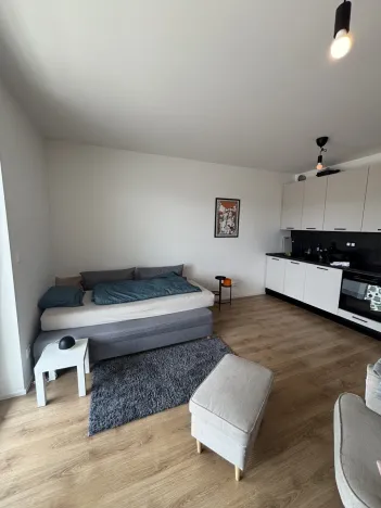Pronájem bytu 1+kk, Beroun, U Židovského hřbitova, 29 m2
