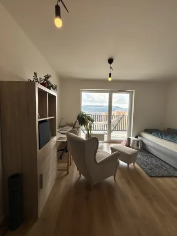 Pronájem bytu 1+kk, Beroun, U Židovského hřbitova, 29 m2