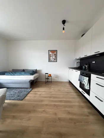 Pronájem bytu 1+kk, Beroun, U Židovského hřbitova, 29 m2