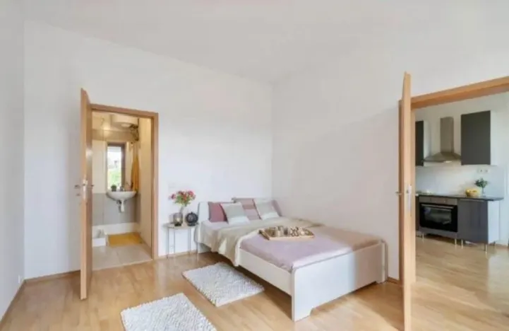Pronájem bytu 2+kk, Praha - Žižkov, Jeseniova, 45 m2