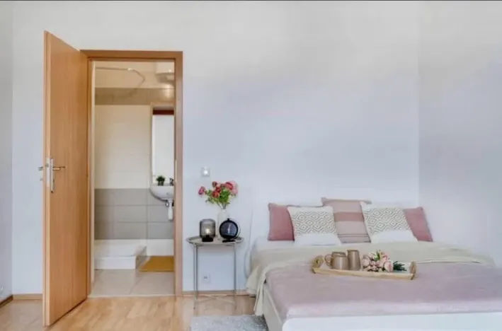 Pronájem bytu 2+kk, Praha - Žižkov, Jeseniova, 45 m2