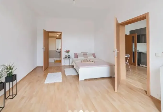 Pronájem bytu 2+kk, Praha - Žižkov, Jeseniova, 45 m2