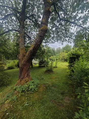 Prodej zahrady, Nejdek, Limnická, 622 m2